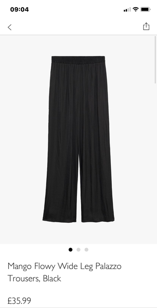 Palazzo pants
