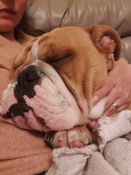 Puppy Survival Thread - May