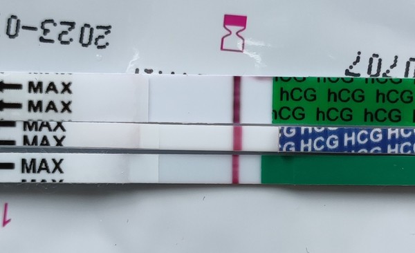 May 2021 TTC Bus :-) Thread 2