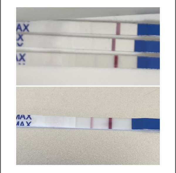 4 Weeks, First Pregnancy