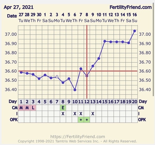 Have I ovulated