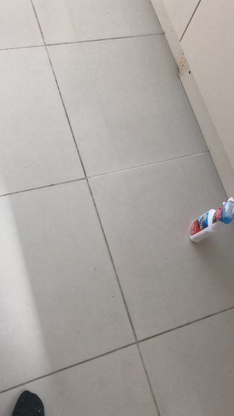 Large white floor tiles with white grout - despair!