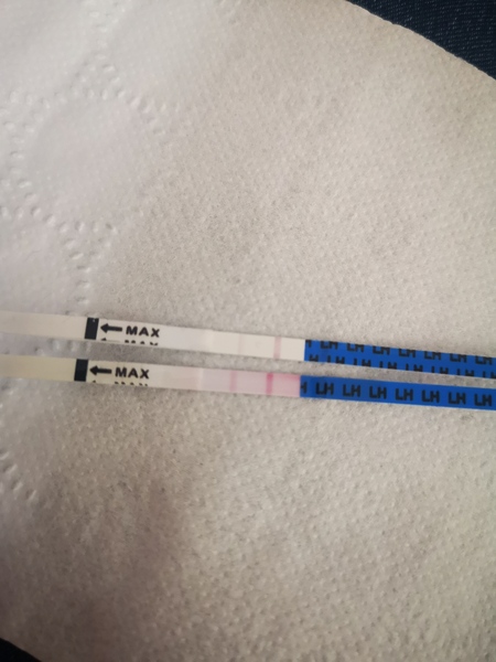 Would I take this as ovulation?🤞