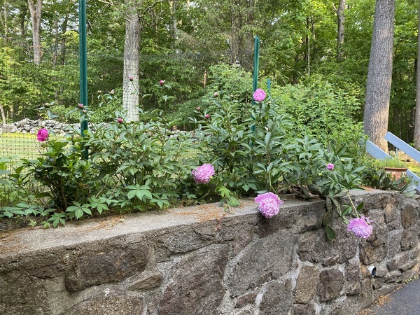 Come and tell me your dull and unexciting news 15: Calmly through the day