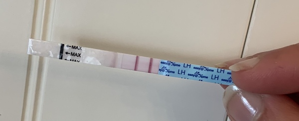 Positive OPK on CD8??