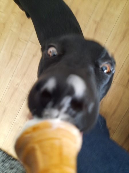 Or was the ice cream man?