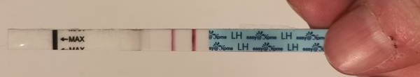 Ovulation Tests