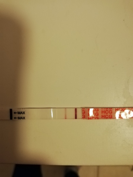 5 weeks 2 days - slow increasing hcg, low bbt