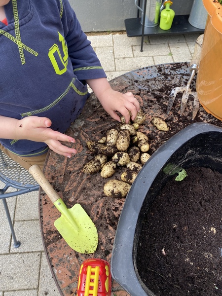 Friendly Frugaleers- Accounting Accurately All April