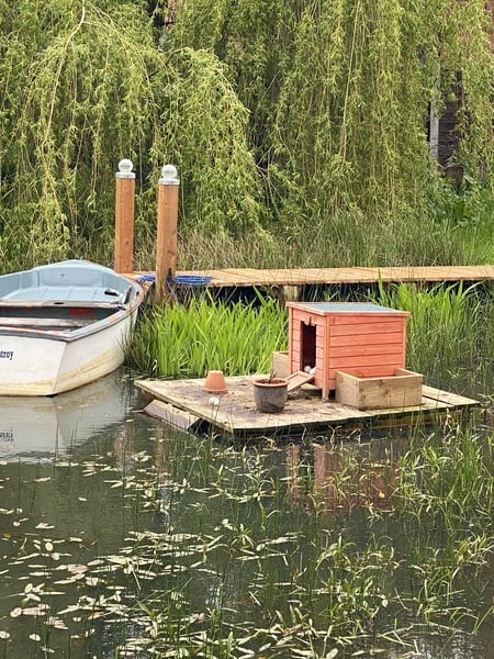 Duck Tales! (Still not what I expected to wake up to this morning)