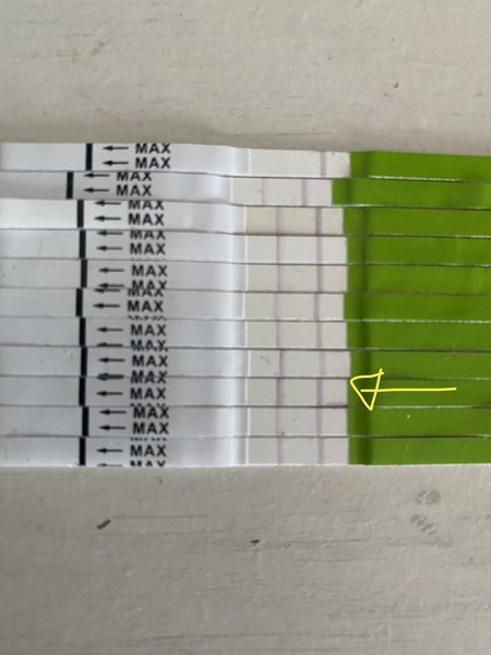 OPK, have I peaked?