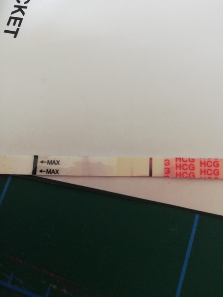 Line eyes 11dpo