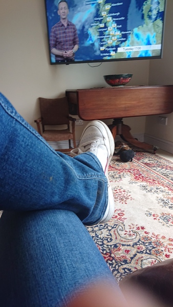 What are you wearing today 👗🧥👚 Spring 2021