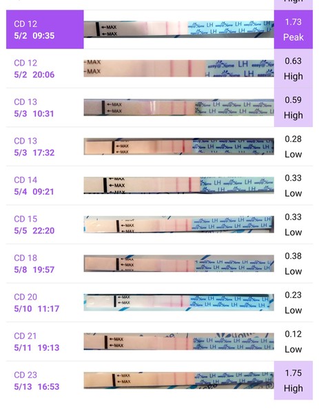 Any Daily testers here?? TWW