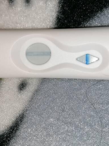 Pregnancy