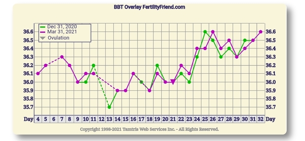 Entering the TWW with BBT charts
