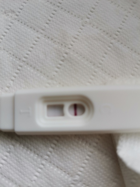 IVF - May