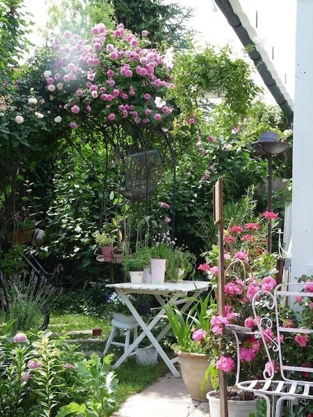 Lovely rambling/cottage garden pictures