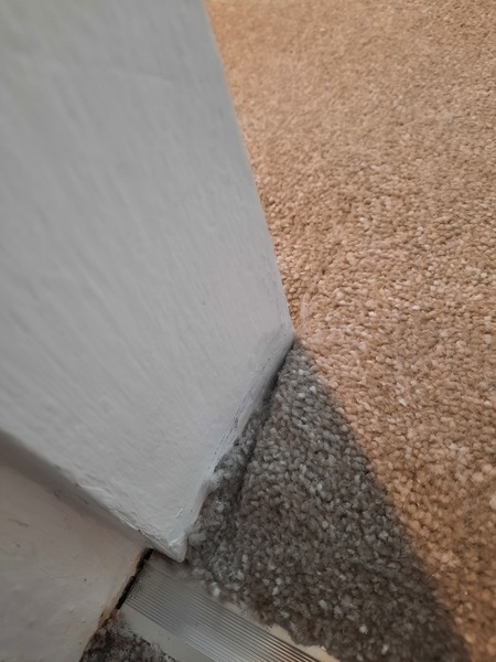 Aibu to be unhappy with this new carpet?