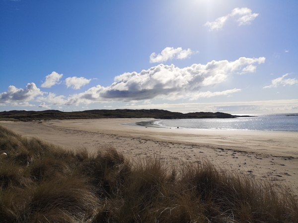 Week 3 - Leaving Lockdown Bootcamp