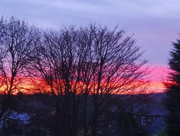 Unable to post pictures