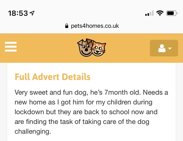 Puppy prices coming down?