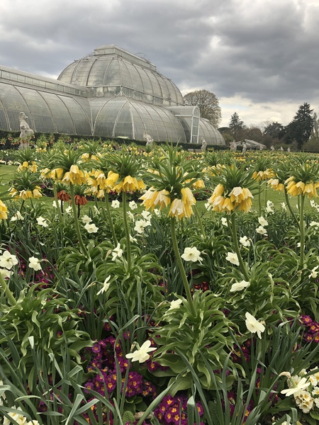 Kew gardens - worth visiting without the glasshouses?