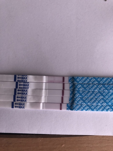 Bfp now bfn within 2 urine trips