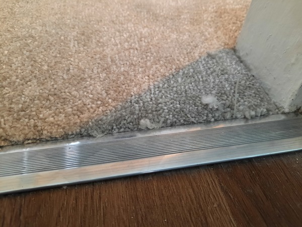 Aibu to be unhappy with this new carpet?
