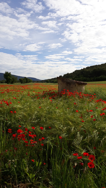 Westminstenders: The New Era