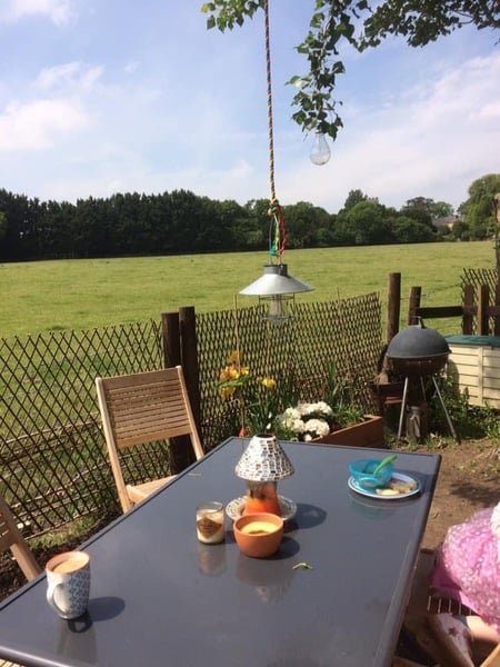 Fledglings May 2021 thread: MAYbe we’ll keep our routines going as the outside world opens up 😊