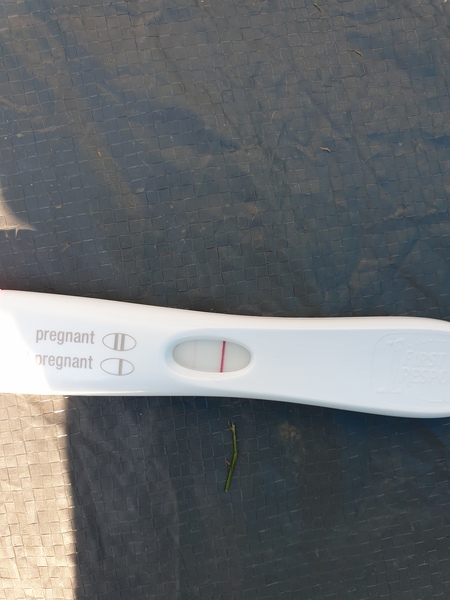 9dpo BBT chart