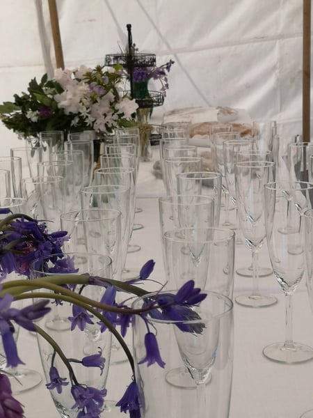 Week 3 - Leaving Lockdown Bootcamp