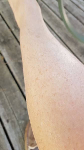 Would you shave these legs?