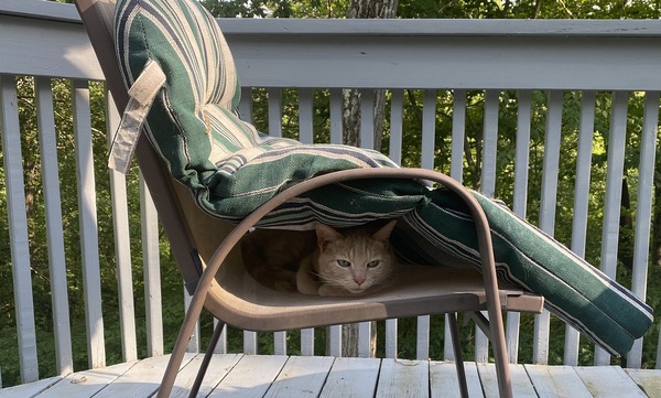 Come and tell me your dull and unexciting news 15: Calmly through the day