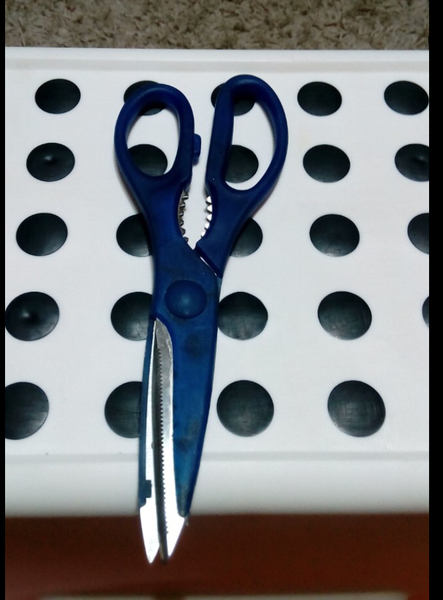 Kitchen scissors (!)