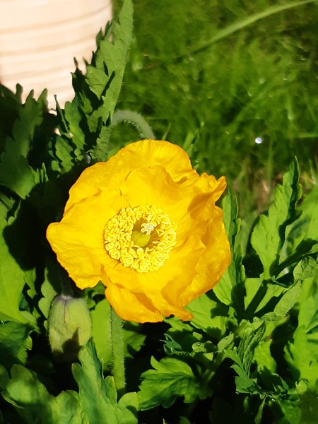 Week 4 - Leaving Lockdown Bootcamp