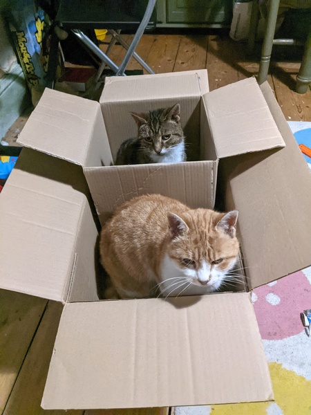 Come and tell me your dull and unexciting news 15: Calmly through the day