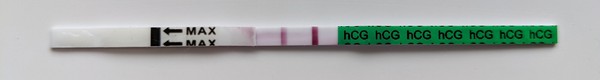 IVF - May