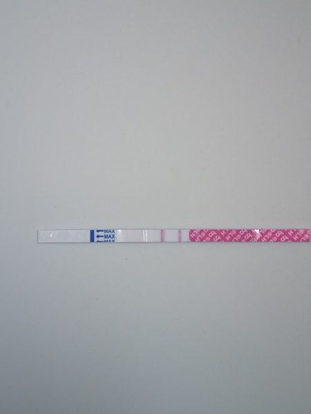 Infertile donkeys hoping for the endo the ttc journey. Longing to be fertile unicorns!