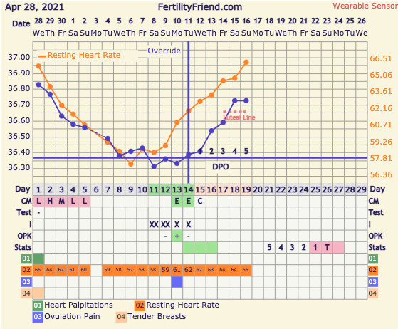9DPO Symptom Spotting