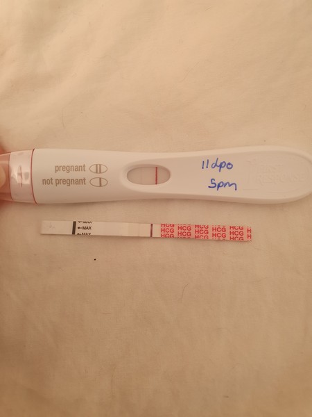 .  🦕 Catching up - ttc after miscarriage part 6 🦕