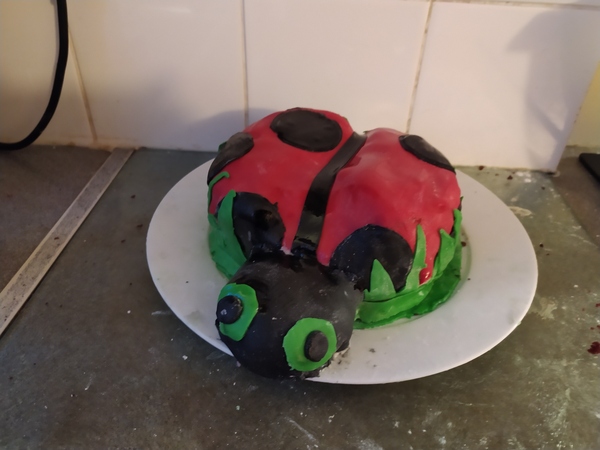 AIBU to think I could make a cake this - never done decorating before