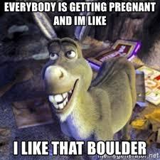 Infertile donkeys hoping for the endo the ttc journey. Longing to be fertile unicorns!