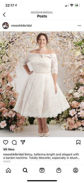 Aibu - wedding dress shopping. Busty experts desperately needed