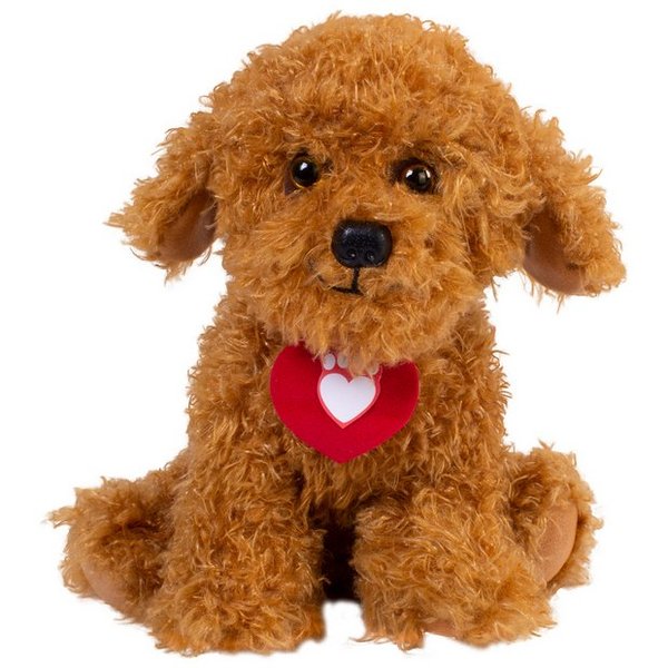 I’m looking for a dog soon can anyone help me?