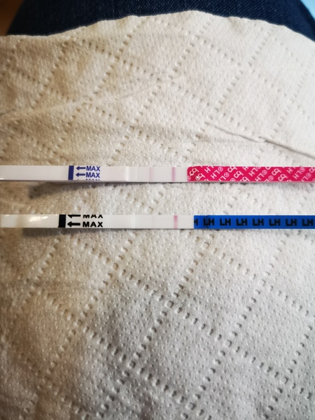 Trying for baby number 3