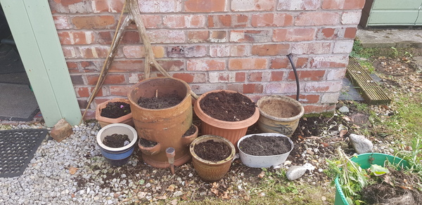 Please help me choose some plants