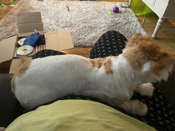 So that's what you want...