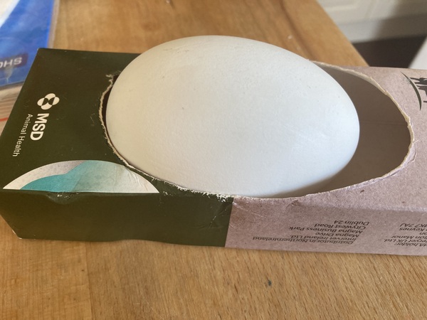 Week 5 - Leaving Lockdown Low Carb Bootcamp